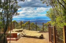 kunanyi/Mt Wellington Ultimate Experience Afternoon Tour