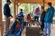 Sled Dog Ride and Scenic Drive from Anchorage