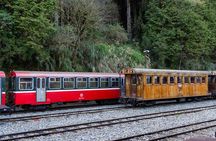 Alishan Join In Day Tour from Taichung (Incl. Park Entrance)