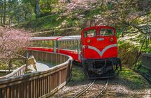 Alishan Join-in Day Tour from Taichung (Incl. Park Entrance)