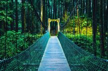 Alishan Join In Day Tour from Taichung (Incl. Park Entrance)