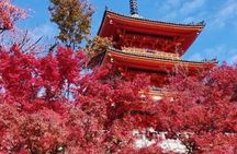 Kyoto tour 12 hours Private Nagoya pick up available 