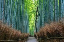 Kyoto tour 12 hours Private Nagoya pick up available 