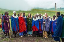 2 Days of Wonders: A Tanzania Safari Adventure