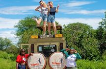 2 Days of Wonders: A Tanzania Safari Adventure