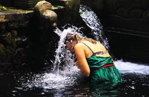 Water Purification & Cave Meditation 2 Authentic Bali Experiences