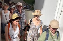 Stone town historical walking tour