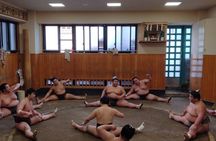 Sumo Practice Watching and Japan’s Beautiful Culture and History