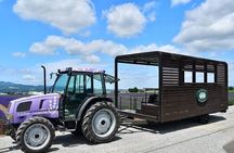 Shirogane Pond and Farm Tomita Day Tour from Sapporo