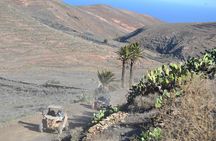 4-seater Mixed 2-hour Guided Buggy Volcano Tour in Lanzarote