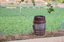 Valle delle Ferle with Wine Tasting and Brunch in Caltagirone