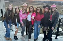 NON-BUS MOVIE STARS Torch Lake - Traverse City Area Wine Tour