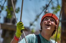 Zipline and Climb in a Forest on Lake Superior's North Shore