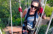 Zipline and Climb in a Forest on Lake Superior's North Shore