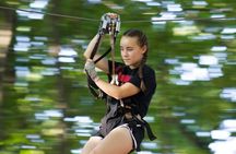 Zipline and Climb in a Forest on Lake Superior's North Shore