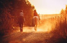 Horse Back Riding in Cappadocia with hot air balloons 