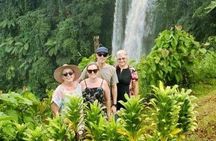 Full Day Tour Upolu Island Samoa