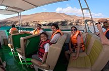 Nazca Lines, Ballestas Islands, Huacachina Tour from Lima