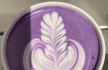 Portland Food and Fun History Adventure