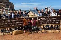 Private Tour: Cape of Good Hope and Penguins from Cape Town
