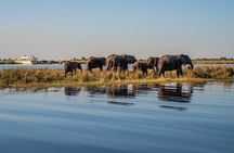 2-Day Wilderness Adventure: Overnight Camping in Chobe Park