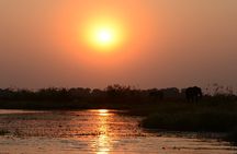 2-Day Wilderness Adventure: Overnight Camping in Chobe Park