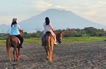 Bali Horse Riding + Waterfall + Rice Terrace + Lunch 
