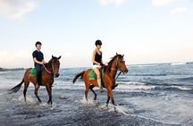 Bali Horse Riding + Waterfall + Rice Terrace + Lunch 
