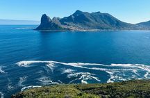 Private Tour: Cape of Good Hope and Penguins from Cape Town