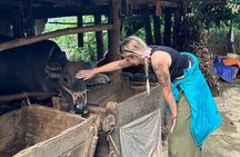 From Hanoi, Sapa: Premium Tour-3D2N Ha Giang Loop with Easy Rider