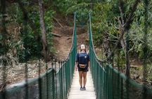 Private Half Day Anakulam Jeep Safari from Munnar
