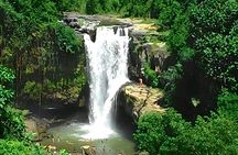Bali Horse Riding + Waterfall + Rice Terrace + Lunch 