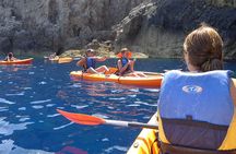 Kayaking and Snorkeling Tour in the Marine Reserve