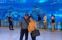 Dubai Night Layover & Stopover tour with Airport Transfers 