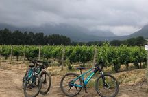 Half Day E Bike Cycling Wine Tour
