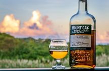Barbados Highlights and Rum Tour