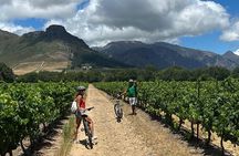 Half Day E Bike Cycling Wine Tour