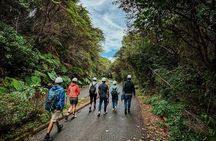 From San José: Poás Volcano Crater, Coffee Tour and Breakfast