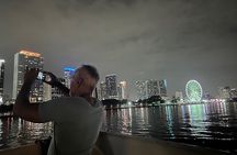 Miami's Official Bayfront Park Millionaires Sightseeing Cruise 