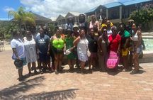 Private Dunn’s River Falls + Zipline over the falls Half Day Tour