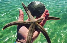 Snorkel Excursions with Good Jibez Only in Panama City Beach