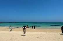  Small Group Tour in East Jeju Healing Island w/Hotel Pick-up