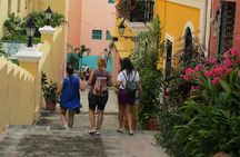 San Juan Highlights Private Guided Tour
