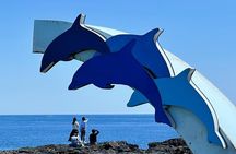 Small Group Tour in West Jeju Healing Island w/Hotel Pick-up