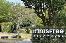 Small Group Tour in West Jeju Healing Island w/Hotel Pick-up