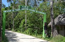 Full day private Zanzibar Jozani Forest Spice Farm with City tour