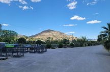  Beautiful Winery in the Alicante 