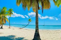“Saona Island: Catamaran Adventure & Caribbean Paradise”