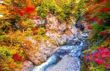Tokyo Okutama Day trip Tour