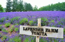 Hokkaido Day Trip From Sapporo Biei, Aoike, Furano Sea of Flowers